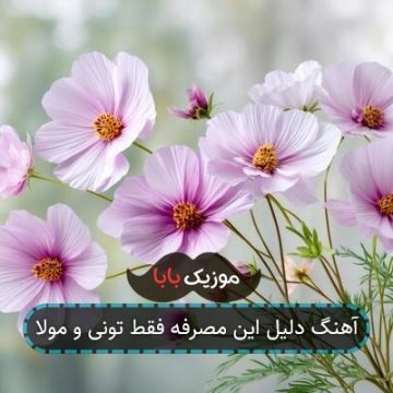 آهنگ دلیل این مصرفه فقط تونی و مولا