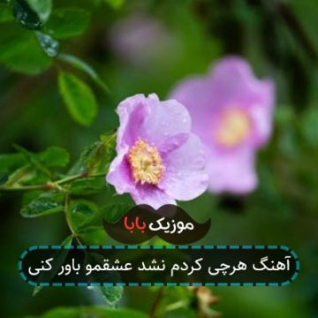 آهنگ هرچی کردم نشد عشقمو باور کنی