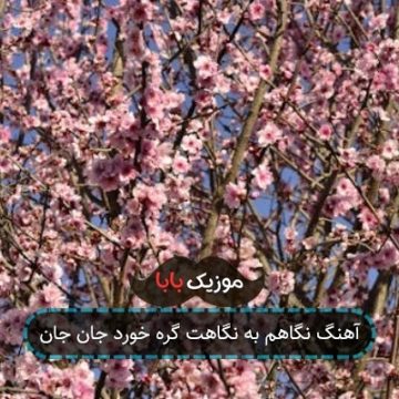 آهنگ نگاهم به نگاهت گره خورد جان جان آهنگ نگاهم به نگاهت گره خورد جان جان