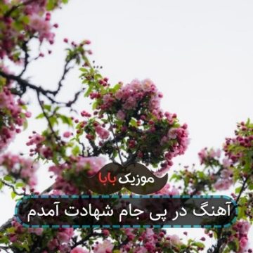 آهنگ در پی جام شهادت آمدم