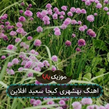 اهنگ بهشهری کیجا سعید افلاین
