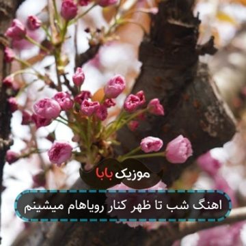 اهنگ شب تا ظهر کنار رویاهام میشینم