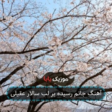 آهنگ جانم رسیده بر لب سالار عقیلی آهنگ جانم رسیده بر لب سالار عقیلی