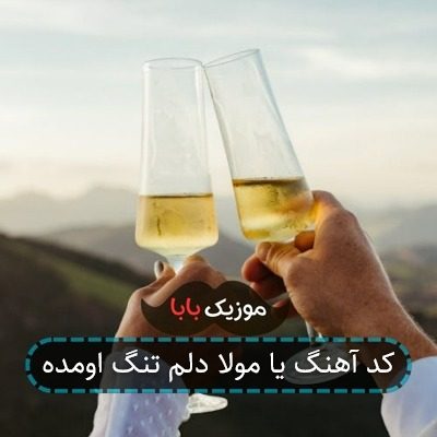 کد آهنگ یا مولا دلم تنگ اومده