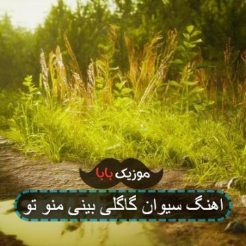 اهنگ سیوان گاگلی بینی منو تو اهنگ سیوان گاگلی بینی منو تو