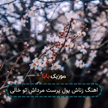 اهنگ زناش پول پرست مرداش تو خالی