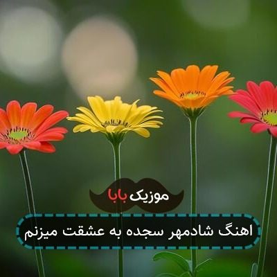 اهنگ شادمهر سجده به عشقت میزنم اهنگ شادمهر سجده به عشقت میزنم