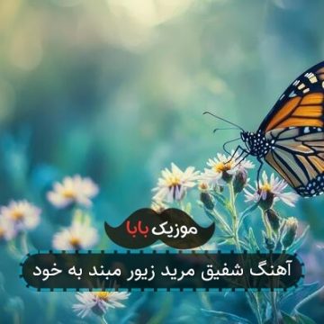 آهنگ شفیق مرید زیور مبند به خود آهنگ شفیق مرید زیور مبند به خود