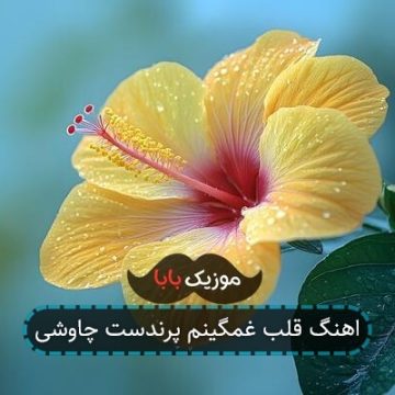 اهنگ قلب غمگینم پرندست چاوشی