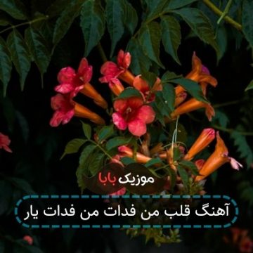 آهنگ قلب من فدات من فدات یار