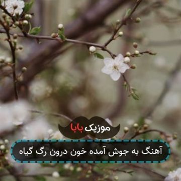 آهنگ به جوش آمده خون درون رگ گیاه آهنگ به جوش آمده خون درون رگ گیاه