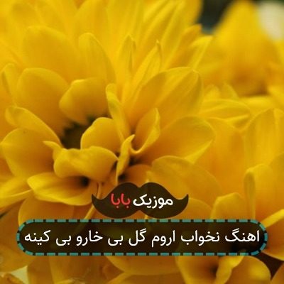 اهنگ نخواب اروم گل بی خارو بی کینه