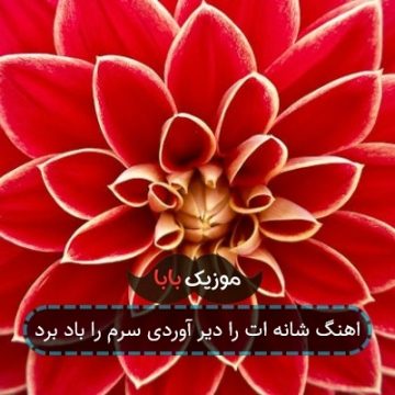 اهنگ شانه ات را دیر آوردی سرم را باد برد