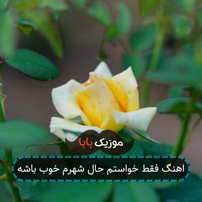 اهنگ فقط خواستم حال شهرم خوب باشه
