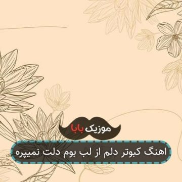 اهنگ کبوتر دلم از لب بوم دلت نمیپره