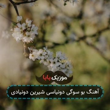 آهنگ بو سوگی دونیاسی شیرین دونیادی
