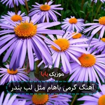 آهنگ دختر شلوار مشکی که دل نمیده به هیشکی