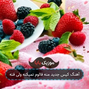 آهنگ کیس جدید منه فالوم نمیکنه ولی فنه آهنگ کیس جدید منه فالوم نمیکنه ولی فنه