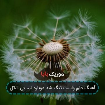 آهنگ دلم واست تنگ شد دوباره نیستی الکل آهنگ دلم واست تنگ شد دوباره نیستی الکل