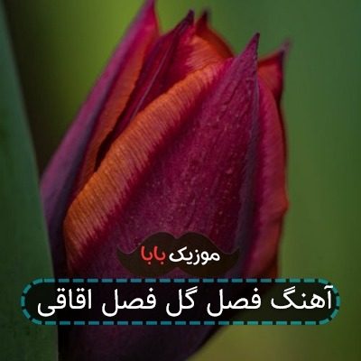 آهنگ فصل گل فصل اقاقی