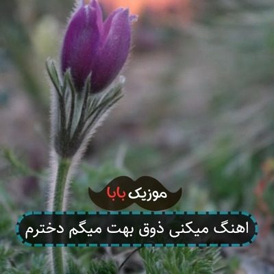 اهنگ میکنی ذوق بهت میگم دخترم