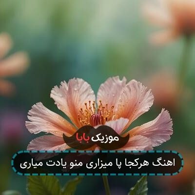 اهنگ هرکجا پا میزاری منو یادت میاری اهنگ هرکجا پا میزاری منو یادت میاری
