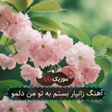 آهنگ زانیار بستم به تو من دلمو