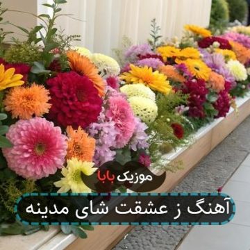 آهنگ ز عشقت شای مدینه