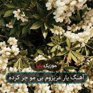 آهنگ یار عزیزوم بی مو جر کرده