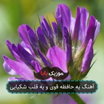 آهنگ یه حافظه قوی و یه قلب شکیایی