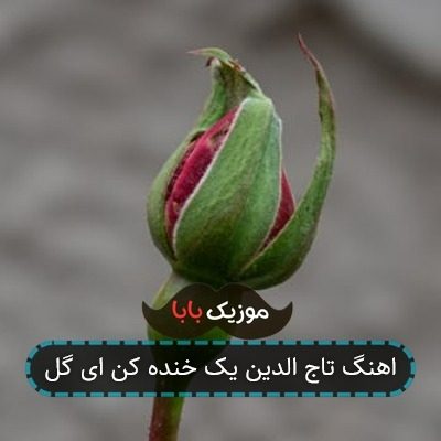 اهنگ تاج الدین یک خنده کن ای گل