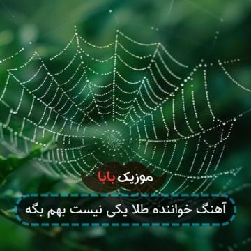 آهنگ خواننده طلا یکی نیست بهم بگه