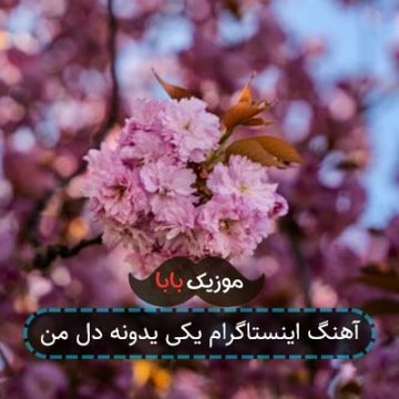 آهنگ اینستاگرام یکی یدونه دل من