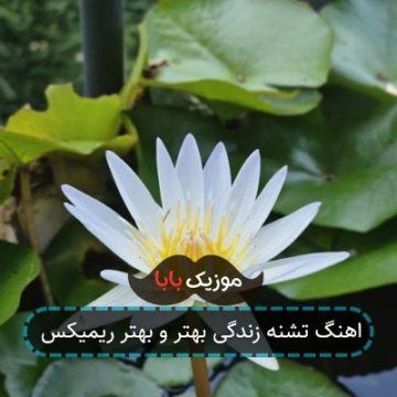 اهنگ تشنه زندگی بهتر و بهتر ریمیکس اهنگ تشنه زندگی بهتر و بهتر ریمیکس