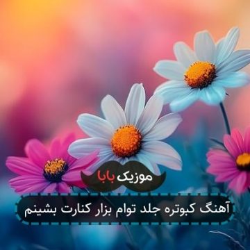 آهنگ کبوتره جلد توام بزار کنارت بشینم آهنگ کبوتره جلد توام بزار کنارت بشینم