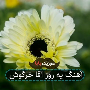 آهنگ یه روز آقا خرگوش آهنگ یه روز آقا خرگوش