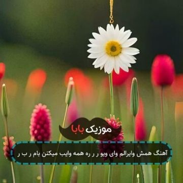 آهنگ همش وایرالم وای ویو ر ر ره همه وایب میکنن بام ر ب ر