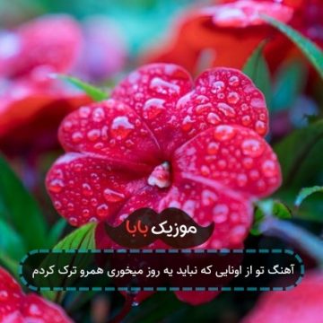 آهنگ تو از اونایی که نباید یه روز میخوری همرو ترک کردم