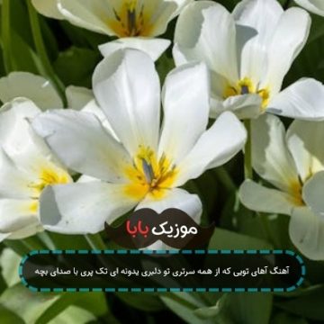 آهنگ آهای تویی که از همه سرتری تو دلبری یدونه ای تک پری با صدای بچه