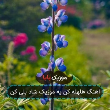 اهنگ هلهله کن یه موزیک شاد پلی کن اهنگ هلهله کن یه موزیک شاد پلی کن