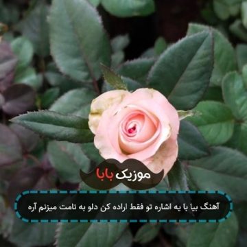آهنگ بیا با یه اشاره تو فقط اراده کن دلو به نامت میزنم آره آهنگ بیا با یه اشاره تو فقط اراده کن دلو به نامت میزنم آره