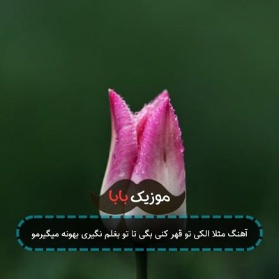 آهنگ مثلا الکی تو قهر کنی بگی تا تو بغلم نگیری بهونه میگیرمو