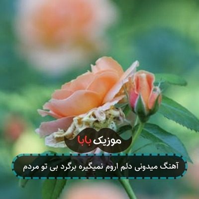 آهنگ میدونی دلم اروم نمیگیره برگرد بی تو مردم آهنگ میدونی دلم اروم نمیگیره برگرد بی تو مردم