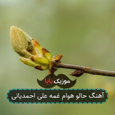 آهنگ حالو هوام غمه علی احمدیانی آهنگ حالو هوام غمه علی احمدیانی