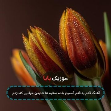 آهنگ منو برسونم یه جای دوردست جوونه بزنم یه جا که نور هست