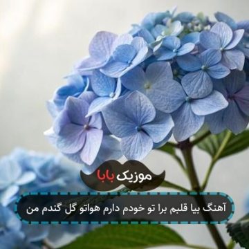 آهنگ بیا قلبم برا تو خودم دارم هواتو گل گندم من آهنگ بیا قلبم برا تو خودم دارم هواتو گل گندم من