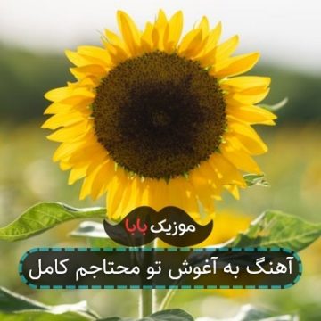 آهنگ به آغوش تو محتاجم کامل