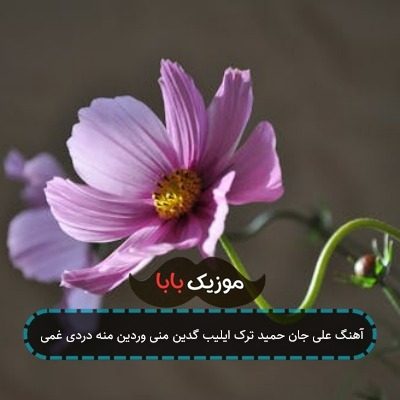 آهنگ علی جان حمید ترک ایلیب گدین منی وردین منه دردی غمی آهنگ علی جان حمید ترک ایلیب گدین منی وردین منه دردی غمی