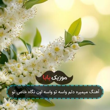 آهنگ میمیره دلم واسه تو واسه اون نگاه خاص تو آهنگ میمیره دلم واسه تو واسه اون نگاه خاص تو