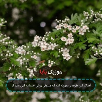 آهنگ این طرفدار دیوونه ات که میتونی روش حساب کنی منم از